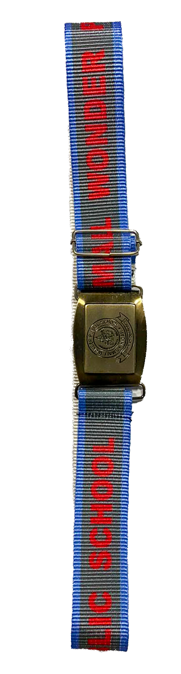 Belt - Small Wonder Public School Sec 16-17