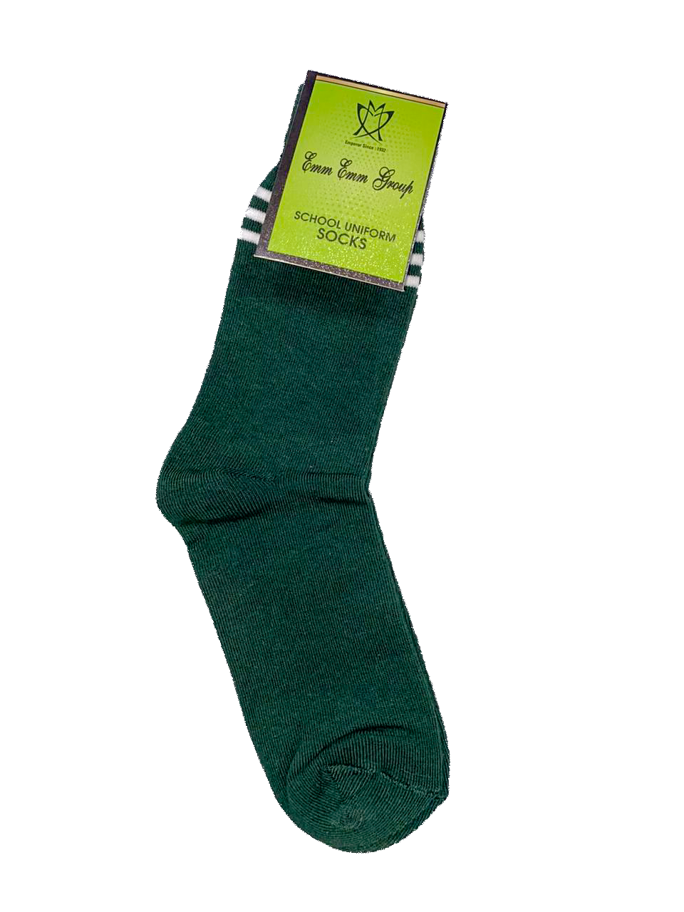 Socks Green - St Xavier School