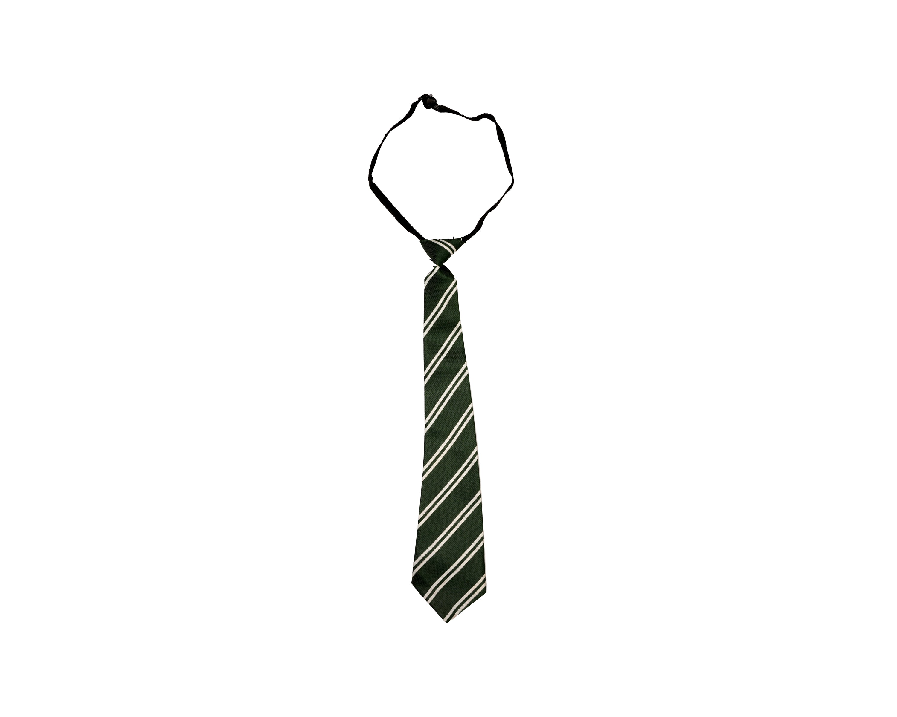 Tie Green - St Xavier School