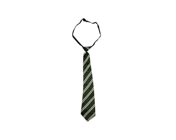Tie Green - St Xavier School