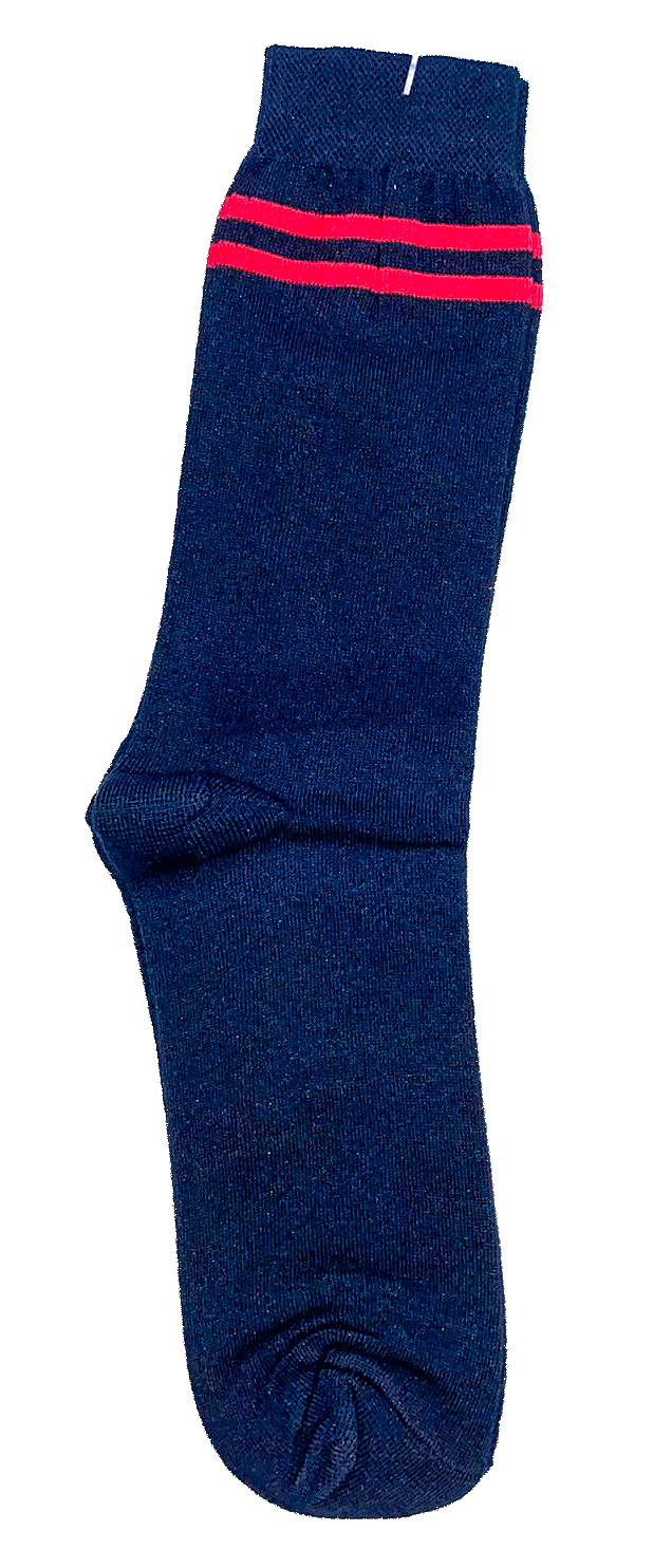 Socks - St Anthony's School, Hisar